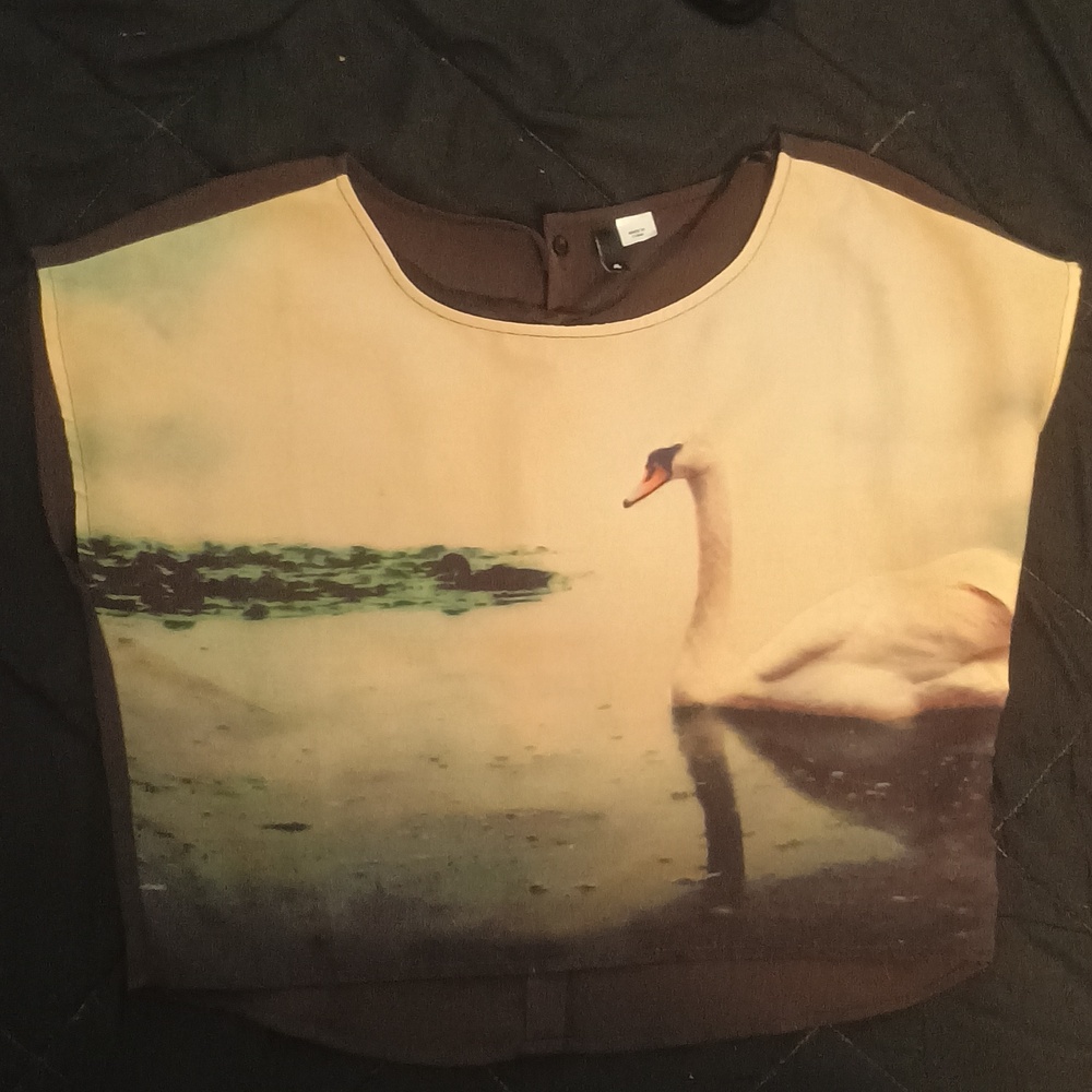Swan Lake Portrait Blouse - H&M Divided - Button-Back - Size 4 - Boxy Crop Top